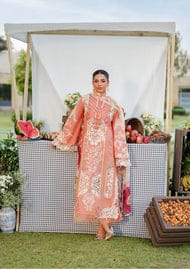 anayanoor Elaf Unstitched Embroidered Lawn 3Pc Suit 3PC