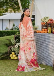 anayanoor Elaf Unstitched Embroidered Lawn 3Pc Suit 3PC