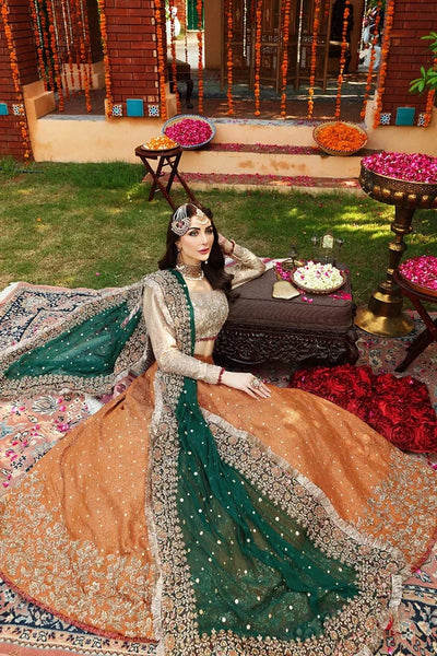 Styleloft.pk Ayesha Imran Luxury Net Embroidered Maxi Dress with Heavy Embroidered Dupatta 3 piece