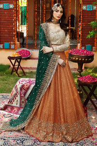 Styleloft.pk Ayesha Imran Luxury Net Embroidered Maxi Dress with Heavy Embroidered Dupatta 3 piece
