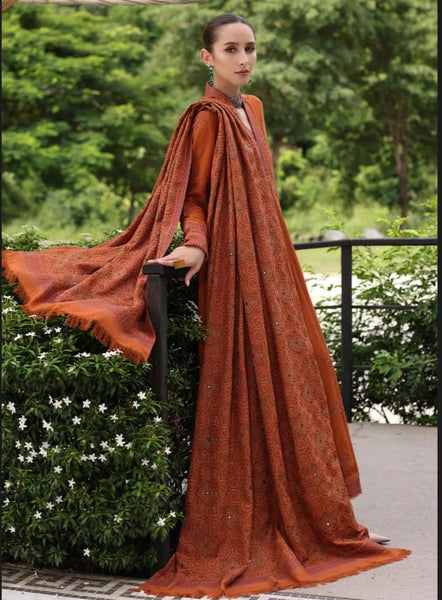 Styleloft.pk Bareeze Embroidered Dhanak Unstitched 3-Piece - Premium Winter Collection 3 PIECE