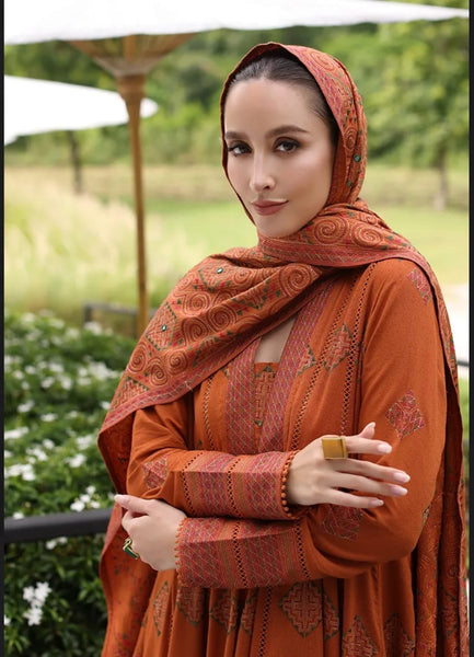 Styleloft.pk Bareeze Embroidered Dhanak Unstitched 3-Piece - Premium Winter Collection 3 PIECE