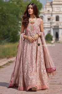 Crimson Wedding Collection 2020