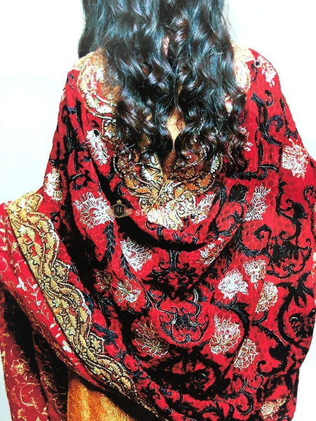 Bareeze Embroidered Velvet Shawl Collection 2018