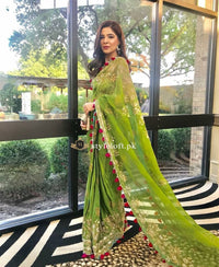 Elan Embroidered Net Saree 2018 Starring Ayesha Omar