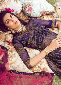 Noor by Saadia Asad Bridal Chiffon Collection 2018-D9 Raniya
